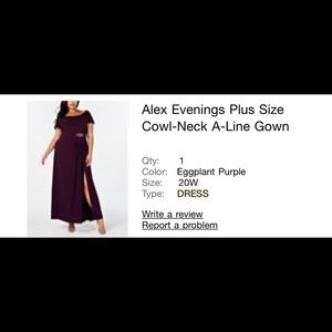 Alex Evenings Plus Size Cowl-Neck A-Line Gown Sz20